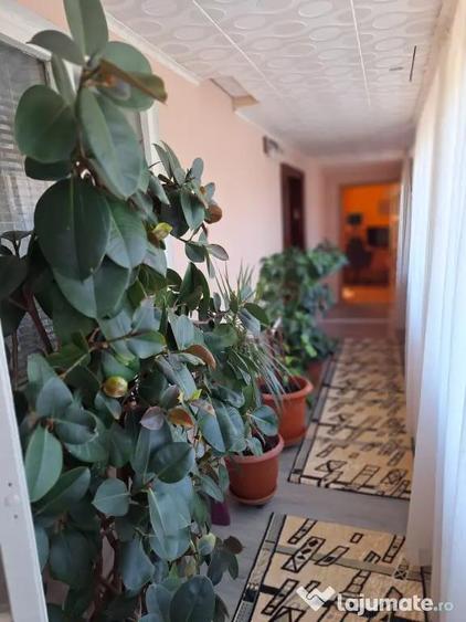 Vand casa comuna Smardan, judetul GALATI - 6