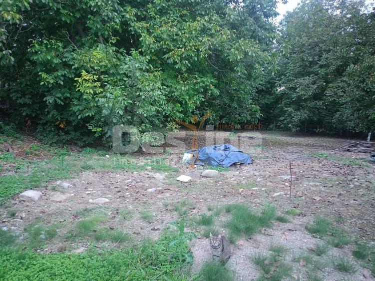 Teren Construcții intravilan de 1384 mp, în Făgetu