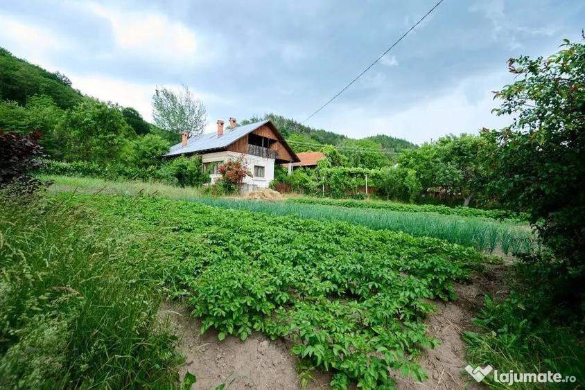Casă cu 3 camere cu Teren 4696 Mp în Central