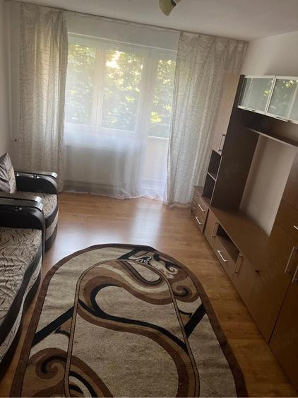 Apartament Tineretului - 10