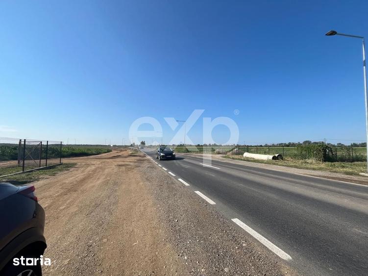 Teren de 15000 mp, în Sud