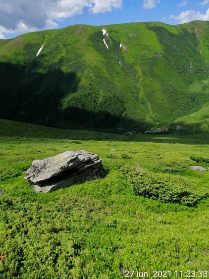 Teren de 185000 mp, în Padeș