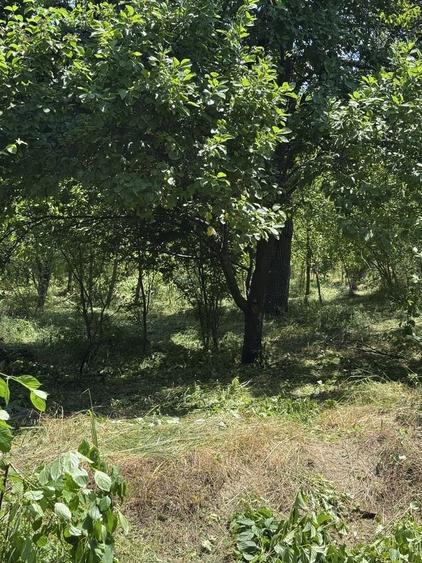 Casă cu 3 camere în Ștefănești