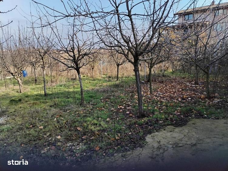 Spațiu comercial, în Vidra
