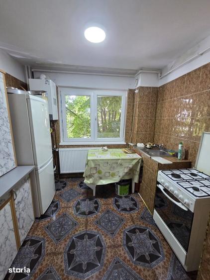 Apartament cu 2 camere în Banat