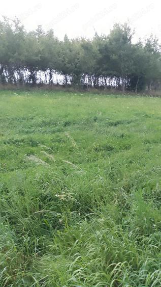 Teren de 4400 mp, în Mitocu Dragomirnei