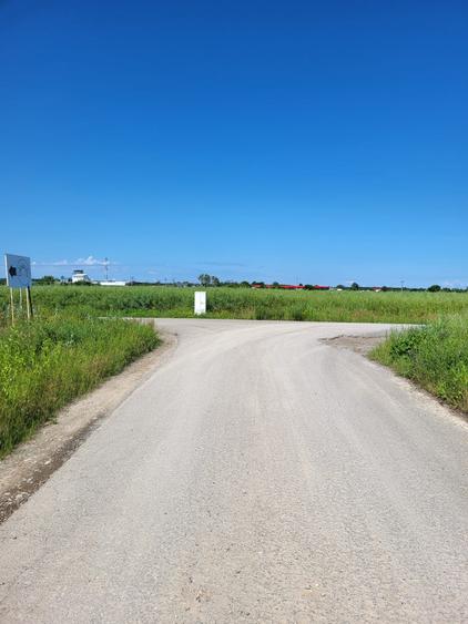 Teren Construcții intravilan de 5000 mp, în Ciolpani