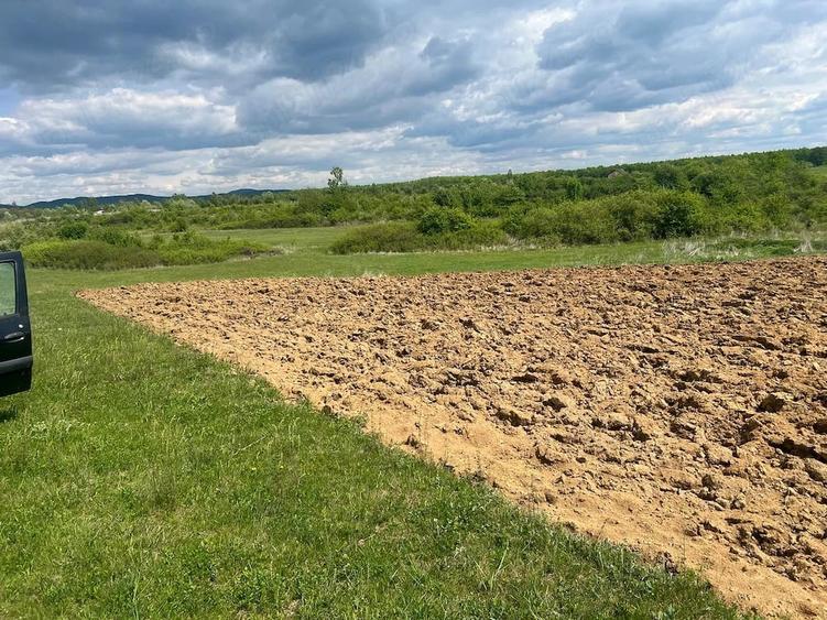 Teren de 8700 mp, în Bordenii Mici