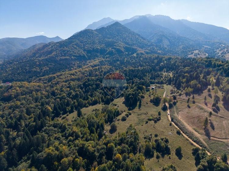 Teren Construcții de 9300 mp, în Glăjărie