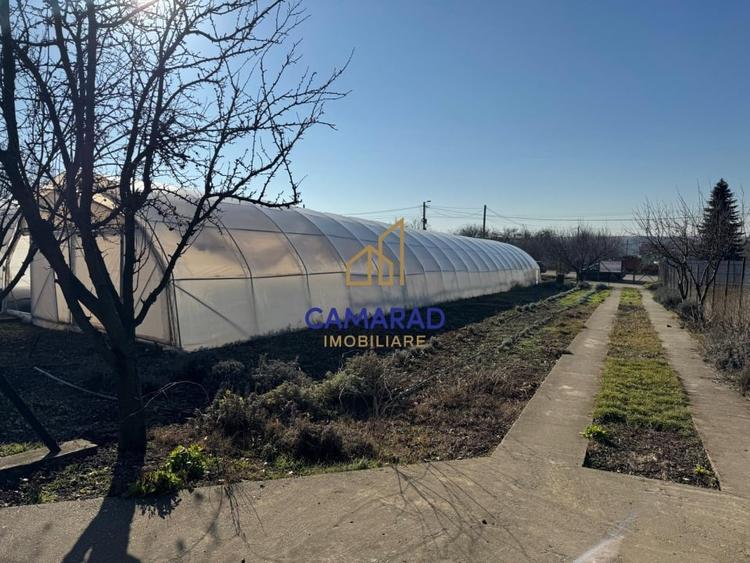 Teren Construcții intravilan de 2750 mp, în Dârvari