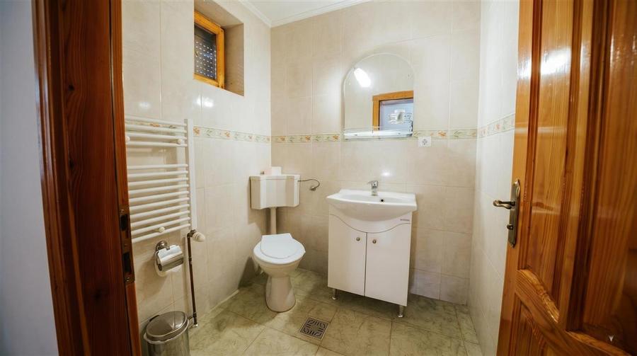 Casă individuală cu 6 camere cu Teren 5800 Mp în Bucșoaia