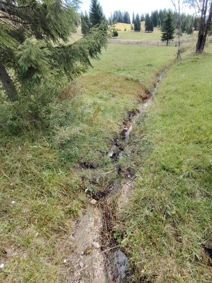 Teren agricol extravilan de 14318 mp, în Panaci