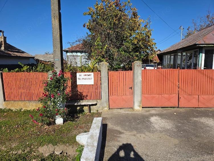Casă cu 4 camere cu Teren 4338 Mp în Verguleasa