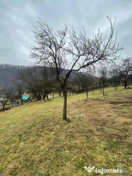 Casă cu 2 camere cu Teren 6000 Mp în Tăuții-Măgherăuș