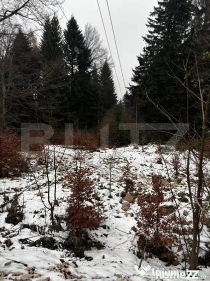 Teren de 4000 mp, în Calea Moroieni