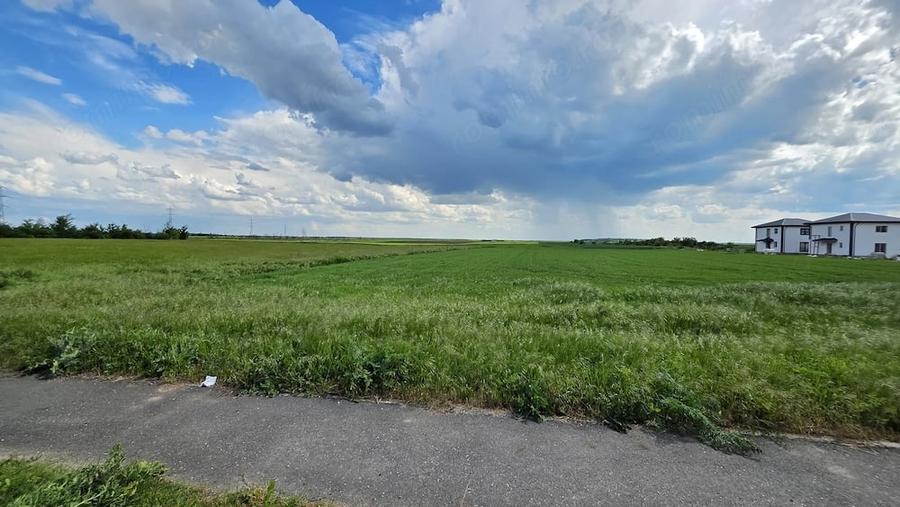 Teren intravilan construc?ii 9.600 mp Niculesti, Dambovita - 4