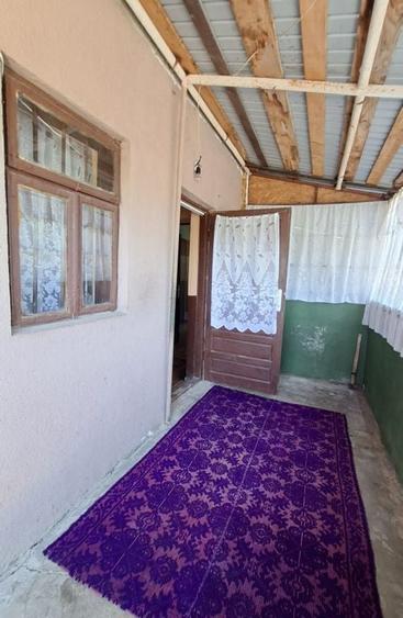 Casă cu 3 camere cu Teren 1667 Mp în Teiu