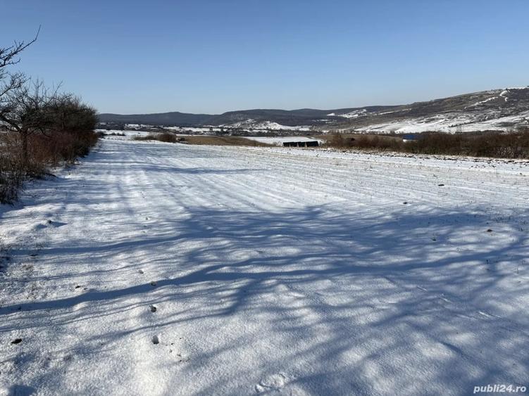 Teren de 550 mp, în Daia