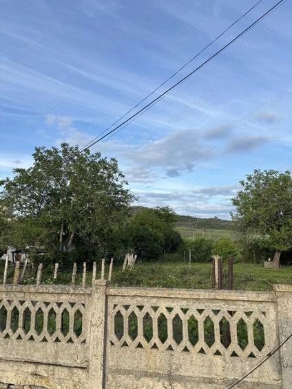 Teren de 1000 mp, în Halânga