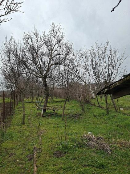Vanzare casa - 7