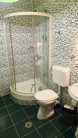 Duplex cu 5 camere cu Canalizare în Bucureștii Noi