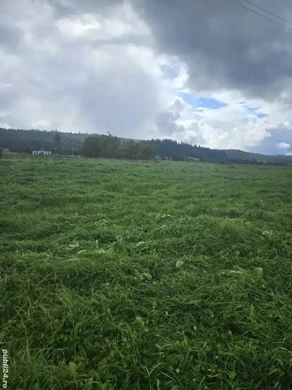 Teren de 5908 mp, în Poiana Stampei