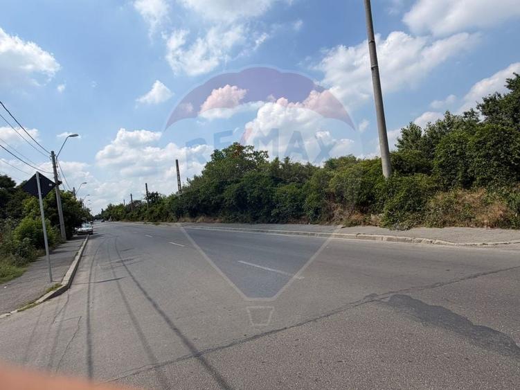 Teren Construcții intravilan de 50580 mp, în Giulești