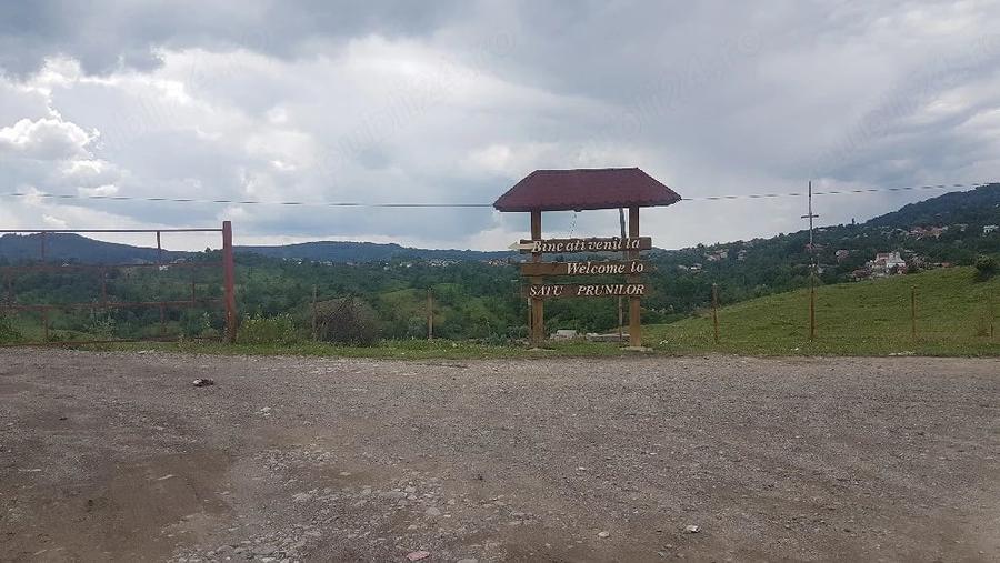 Teren de 1700 mp, în Pietroșița