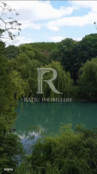 Spațiu comercial, în Vășad
