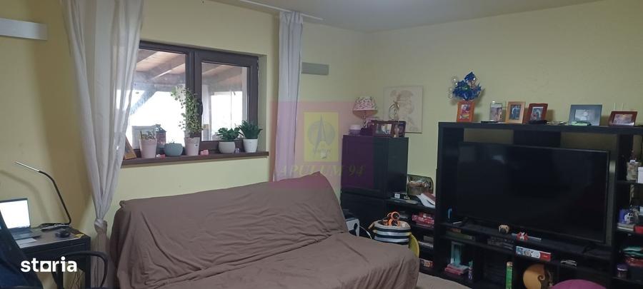Sabareni, casa 2011, P+M 4 camere + dependinte, curte 500 mp - 4