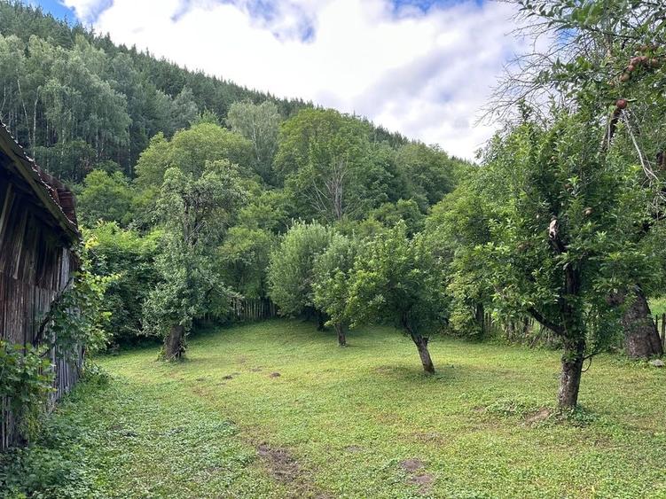 Casă cu 4 camere în Coza