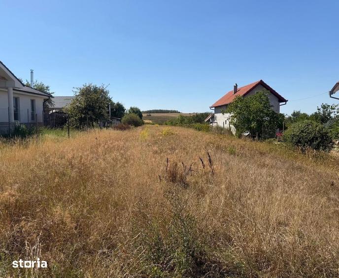 Teren de 3918 mp, în Viile Satu Mare