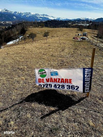 Sat Pe?tera Moeciu | Vedere panoramica Bucegi & Piatra Craiului - 12