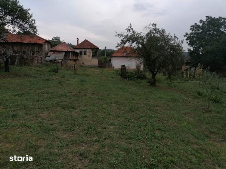 Teren intravilan cu casa musceleana - 1