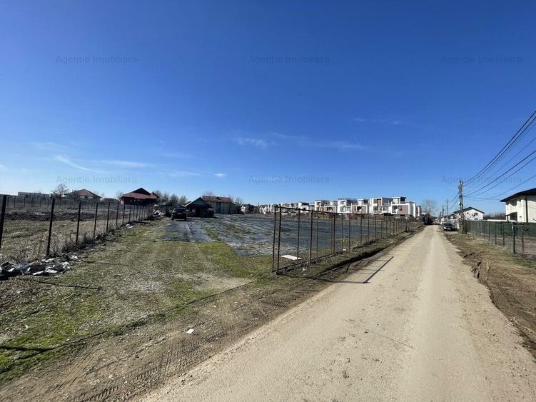 Teren Construcții intravilan de 4493 mp, în Mogoșoaia