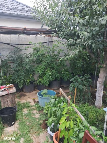 Casă cu 3 camere cu Teren 500 Mp în Domnești