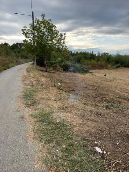 Teren de 1000 mp, în Goranu