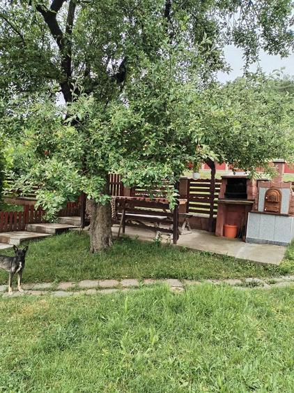 Casă cu 2 camere cu Teren 6000 Mp în Lechincioara