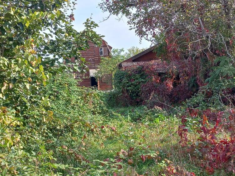 Teren Construcții intravilan de 2000 mp, în Ghermănești