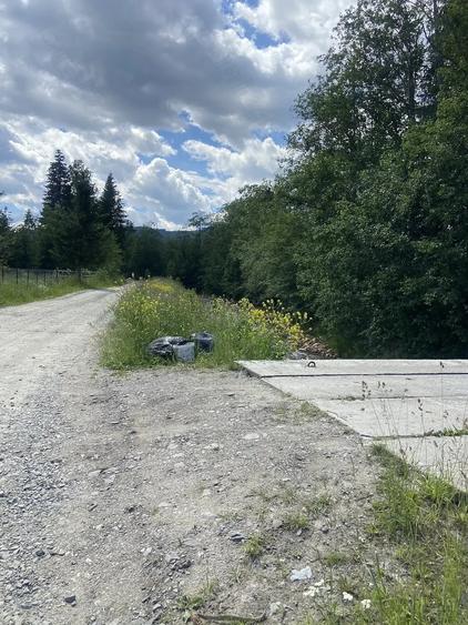 Teren de 10000 mp, în Șaru Dornei