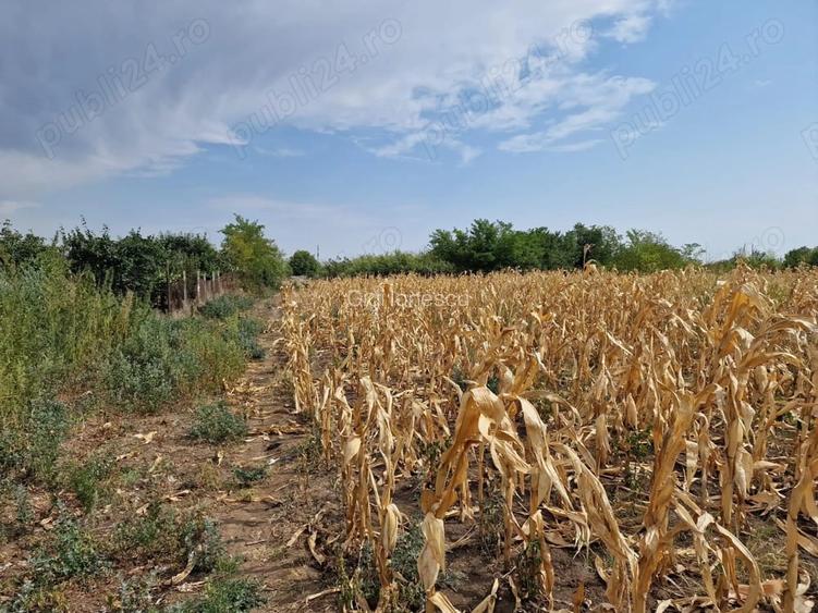Vand teren intravila Urziceni