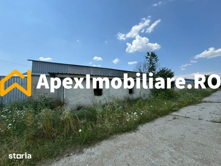 Hale Industriale de Vanzare Baicoi 1100 mp + 800 mp, teren 5500 mp - 5