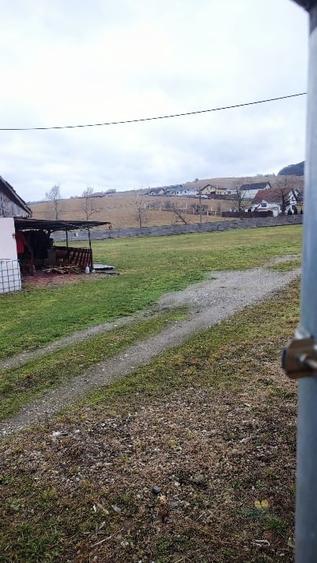 Teren Construcții intravilan de 6500 mp, în Albești