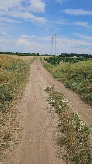 Teren Construcții intravilan de 5000 mp, în Frumușani