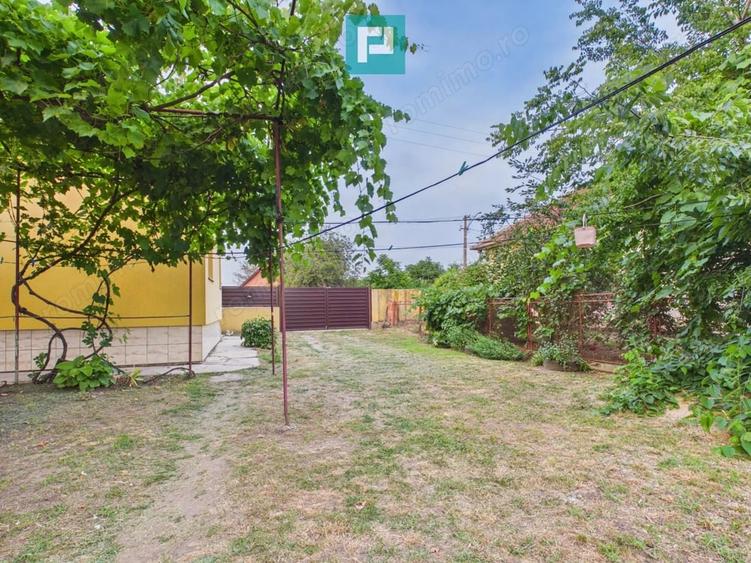 Casă cu 4 camere cu Teren 5538 Mp în Macea