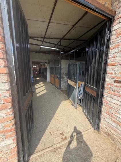Proprietate specială, de 1,000 mp, în Central