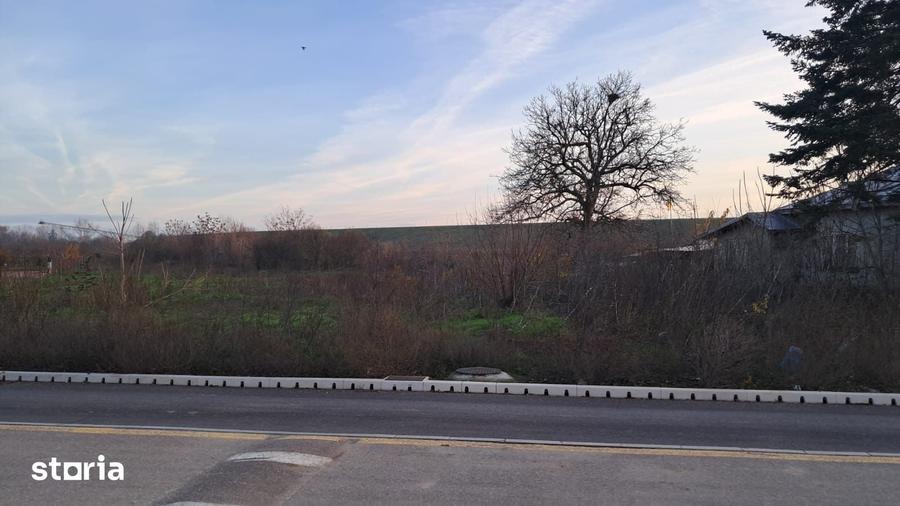 Teren de 2250 mp, în Cornetu