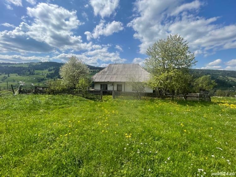 Teren de 16600 mp, în Central