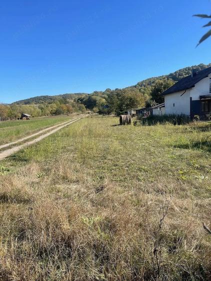 Teren de 4733 mp, în Tisa