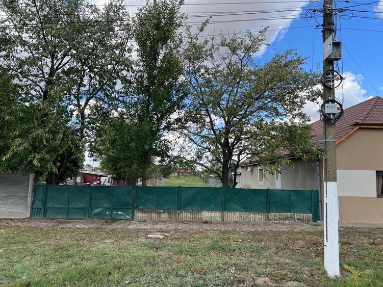 Teren intravilan 1.000 mp Dinias, la 20 km de Timisoara | Livada cu 50 pruni - 2